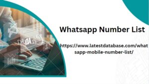 Whatsapp Number List